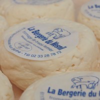 Fromage_Brebis